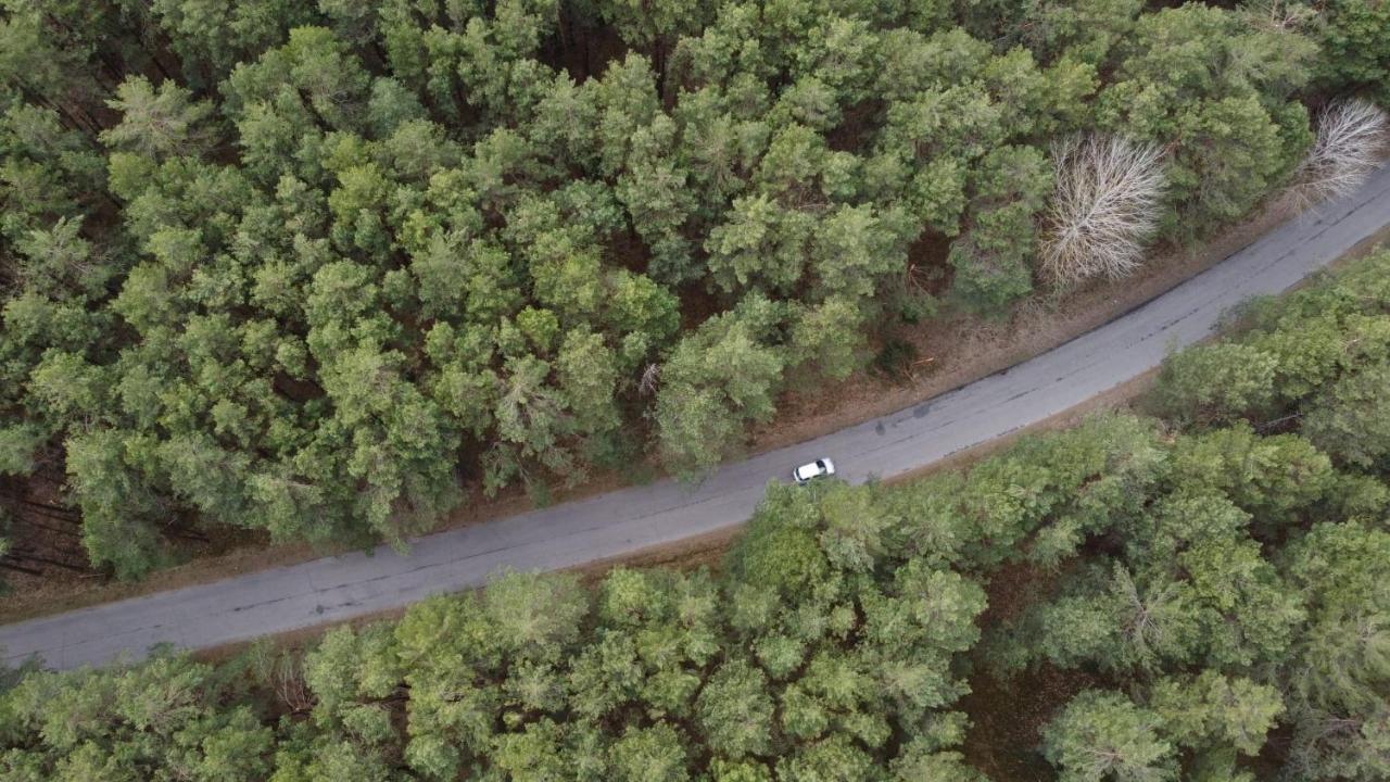 Duch Huszczy W Srodku Sosnowego Lasu Lomazy Eksteriør bilde